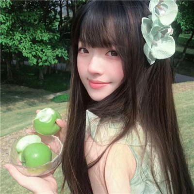 侠盗列那狐