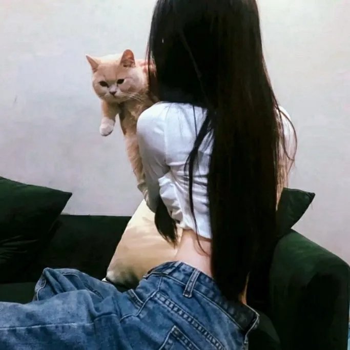 无法无家